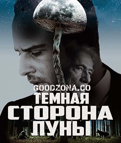 Тёмная сторона Луны (2015)