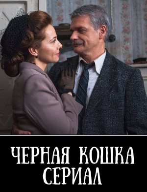 Черная кошка