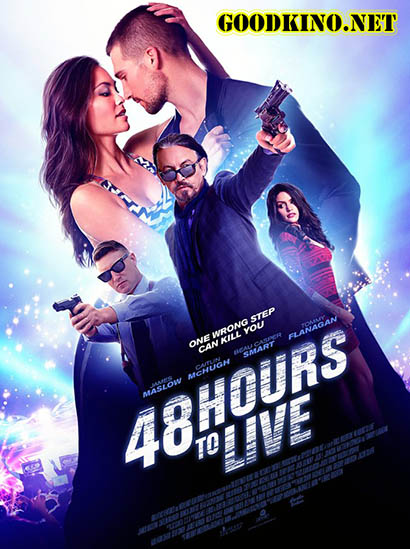 48 часов, чтобы жить / Wild for the Night (2016)