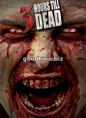 3 часа до смерти