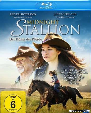 Полночный жеребец