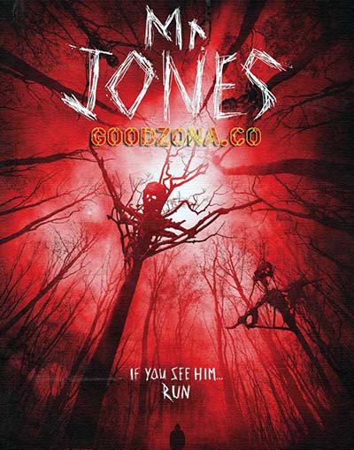 Мистер Джонс (2013)